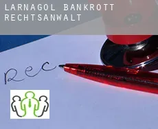 Larnagol  bankrott rechtsanwalt