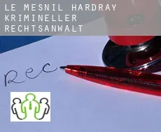 Le Mesnil-Hardray krimineller rechtsanwalt