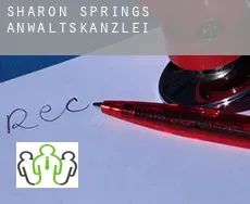 Sharon Springs  Anwaltskanzlei