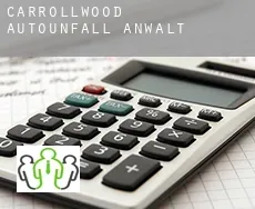 Carrollwood  Autounfall Anwalt