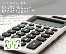 Cherry Hill krimineller rechtsanwalt
