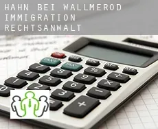 Hahn bei Wallmerod  immigration rechtsanwalt