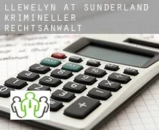 Llewelyn at Sunderland  krimineller rechtsanwalt