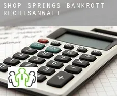 Shop Springs  bankrott rechtsanwalt