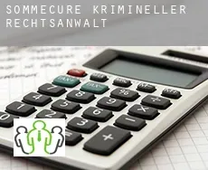 Sommecure  krimineller rechtsanwalt