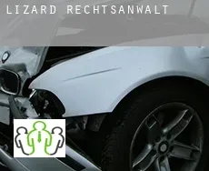 Lizard  rechtsanwalt