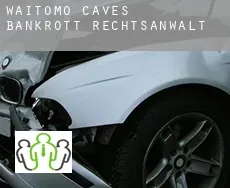Waitomo Caves bankrott rechtsanwalt
