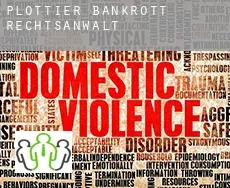 Plottier  bankrott rechtsanwalt